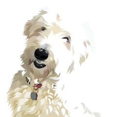 Dog vector colorful illustration