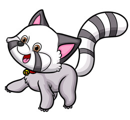 The happy raccoon with the bell necklace is walking