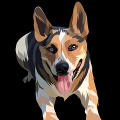 Dog vector colorful illustration