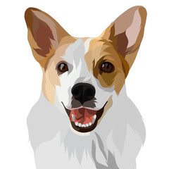 Dog vector colorful illustration