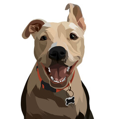 Dog vector colorful illustration