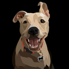 Dog vector colorful illustration