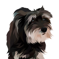 Dog vector colorful illustration
