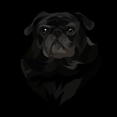 Dog vector colorful illustration