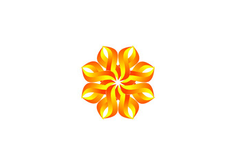 orange flower isolated on white background