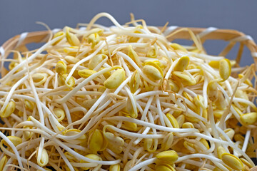 Fresh soybean sprouts for cooking.