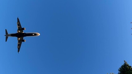 Plane landing on airport. Commercial Jet Plane Landing. Overhead flying aircraft landing. Airplane landing in LAX airport at sunset, Los Angeles, California USA.