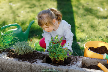 Adorable little toddler girl holding garden shovel with green plants seedling in hands. Cute child learn gardening, planting and cultivating vegetables herbs in domestic garden. Ecology, organic food.