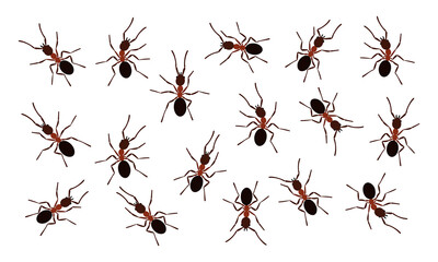 Brown ant insects black silhouettes vector illustration isolated on white background. Ant colony fauna black silhouettes symbol species collection.
