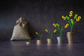 Money growth Saving money. Upper tree coins to shown concept of growing business  . Dollar Tree