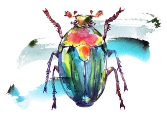 Fototapete Rund Watercolor poster with bronze bug © ola_tarakanova