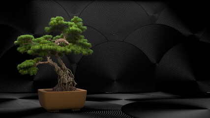 bonsai tree and pot on a black background. 3d rendering