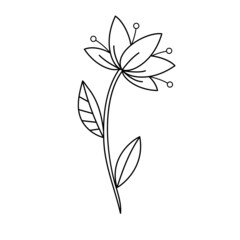 Contour black-and-white drawing of a decorative lily flower with stamens and leaf. Vector illustration. Coloring page.