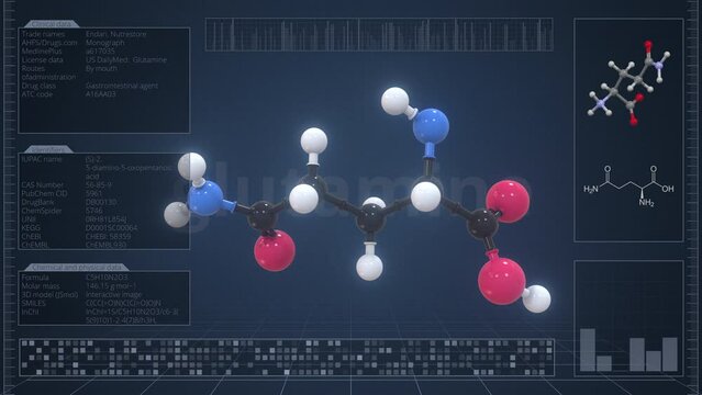 Molecule of glutamine with infographics on the computer monitor, loopable 3d animation