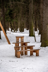 close-up still life on the snow in the forest 