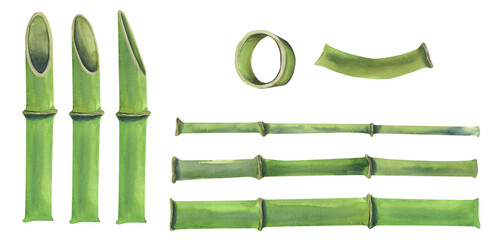 Watercolor illustration of a set of bamboo parts. The stems are green with different sections and without. For the design of banners, postcards, posters, for advertising and business.