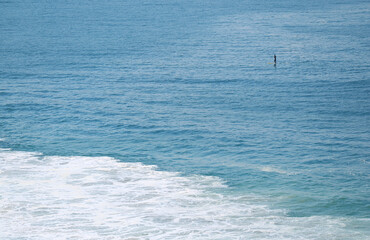 People Standup Paddle Boarding (SUP) in Turquoise Blue Atlantic Ocean, Rio de Janeiro, Brazil, South America