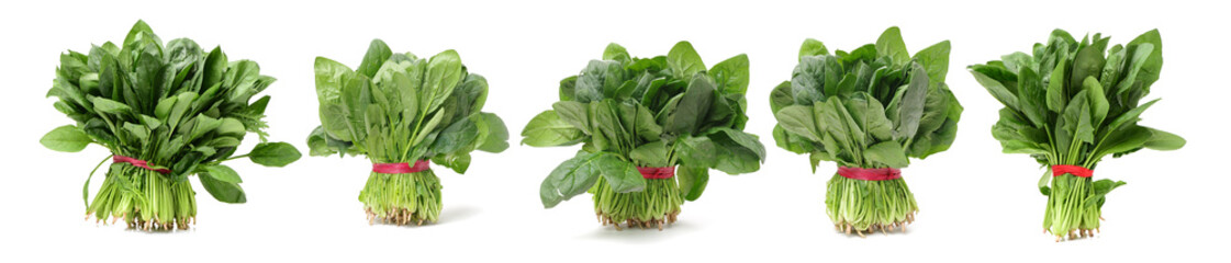 Spinach on white background