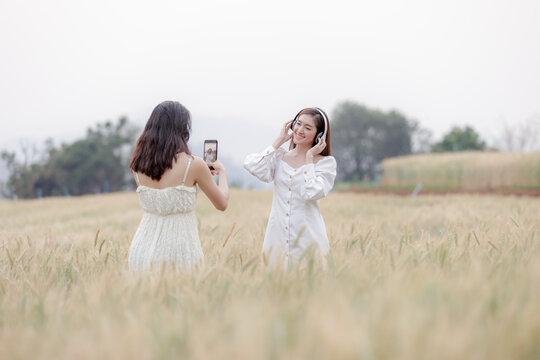 asian women girl in while dress taking photo with smartphone and listen to music wireless headphone in agriculture demonstration plots, barley rice fields at chiang mai Thailand,.