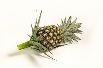 Picture of pineapple on a white background.