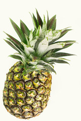 Picture of pineapple on a white background.