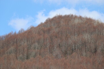 blue sky and winter mountains