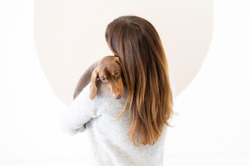 Girl petting a small Dachshund dog on the sofa at home.