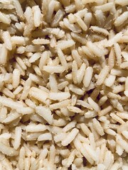 white cooked rice grains closeup