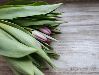 Obraz premium bunch of tulips laying on a wooden board 