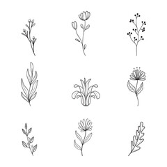 Set of flowers in line art drawing