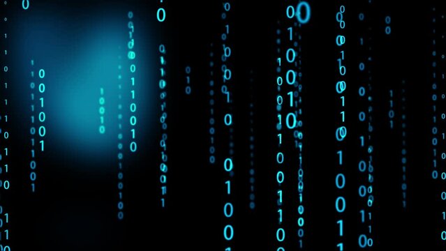 Technology code，Digital code，Programming code，Network technology coding