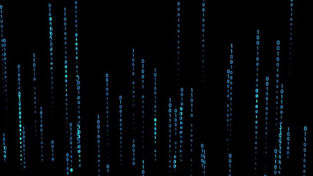 Technology code，Digital code，Programming code，Network technology coding