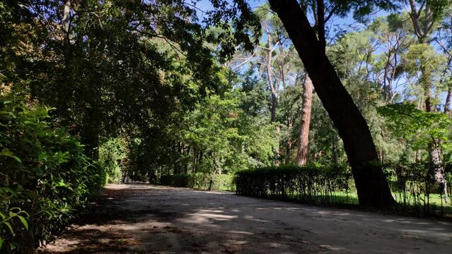 Timelapse of a sand walkway between bushes, grass and tall trees at Retiro Park, Madird. It's a sunny day and trees cast shadow on the path where people have walks.