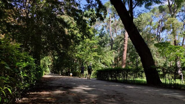 Timelapse of people walking covered by shadow from the trees, and bushes around at Retiro Park, Madird. Sunny day. Pathway is made of sand.