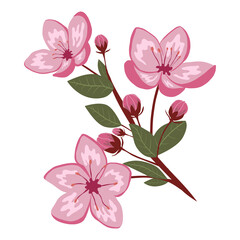 Naklejka na ściany i meble Cute spring cherry blossom vector isolated illustration