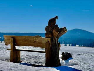 Winter im Erzgebirge bei Bozi Dar (Gottesgab)