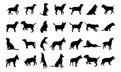 Vector silhouette of a dog on white background.
