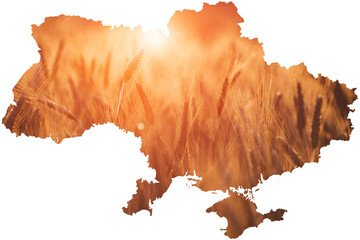 Conceptual image of Ukraine's map, global food crisis caused by Russia's invasion