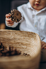 baby hand nature  basket