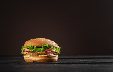 Hamburger with tomato and cheese