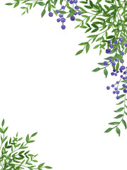 Watercolor spring; summer frame with green leaves and branches of gypsophila, for wedding greetings, wallpapers, background. Green herbs, branches, leaves, plants;
