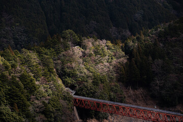 山を走る鉄橋