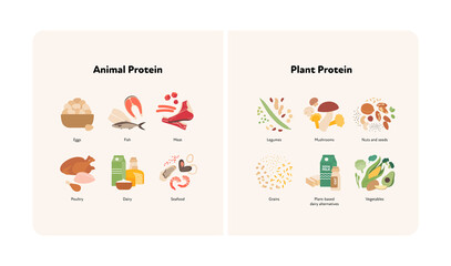 Healthy food guide concept. Vector flat modern illustration. Animal and plant protein compare Infographic with product icon and name labels. - obrazy, fototapety, plakaty