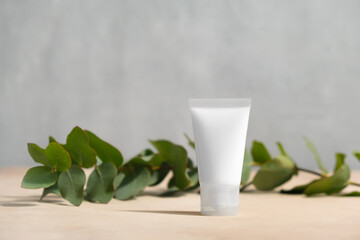 Cream tube mockup. Cosmetics container and eucalyptus twig.