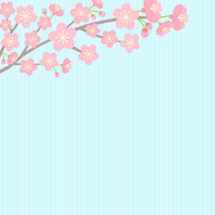 桜の花で飾った水色ストライプのバナー - 春・お祝いの背景素材