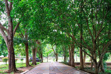 Fototapeta premium Sidewalk in the park