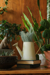 Various plants on wooden table. Spring home decor, greenery concept