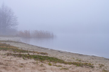 river bank shrouded in mist