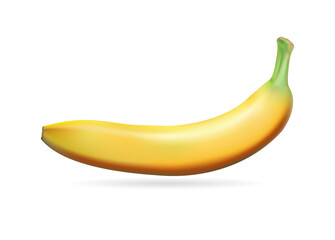 Banana isolated on white background. Realistic fruit. Vector illustration.