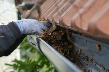 Cleaning the gutter from autumn leaves before winter season. Roof gutter cleaning process.	